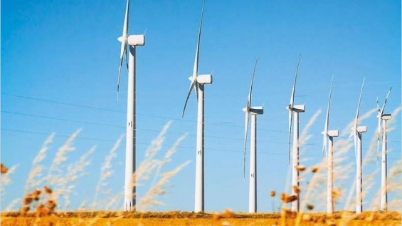 Argentina: Aprueban un nuevo régimen para la energía eléctrica de fuente renovable