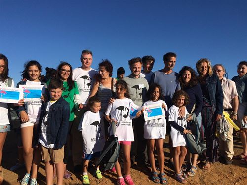 Cientos de voluntarios anillan medio millar de pollos de flamenco rosa en el Paraje Natural Marismas del Odiel (Huelva)
