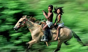 Biodiversidad ecosistemas y bienestar humano