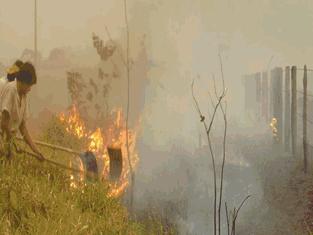 CAF apoya programa de control de incendios forestales en la Amazonía boliviana