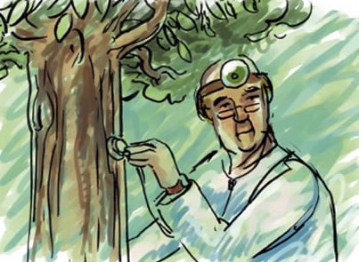 Técnico medioambiental