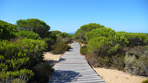 Científicos de la UGR comparan el desastre de Aznalcóllar con la extinción masiva del Cretácico