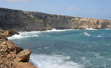 Andalucía quiere dar a conocer la biodivesidad del litoral