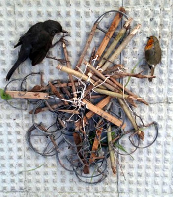 Ecologistas denuncia la instalación de más de 20 trampas para pájaros en el parque del Alamillo