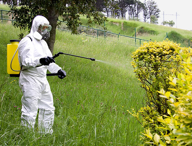 Nuevas normas fitosanitarias europeas para 2019