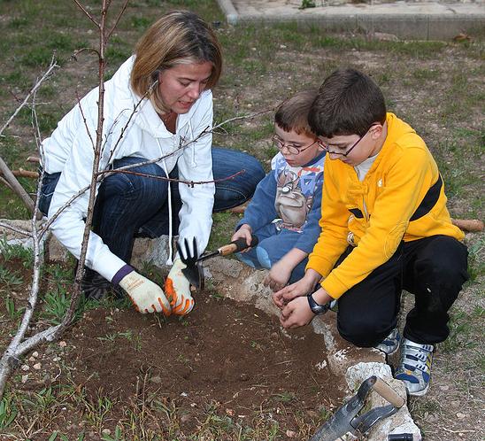 La jardinería escolar hace más inteligentes a los niños