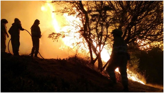 Incendios forestales en invierno: previsión cero + codicia desmedida