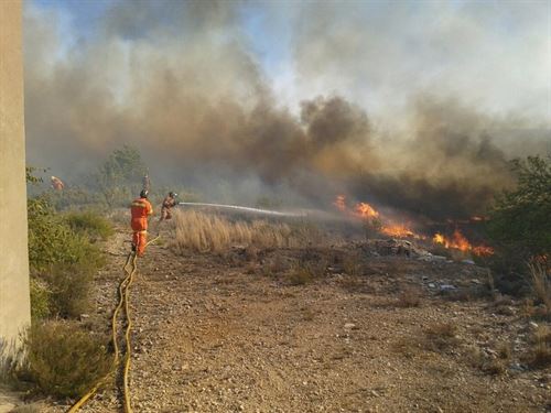 Premios Nobel reunidos en Valencia exigen la prevención de los incendios forestales