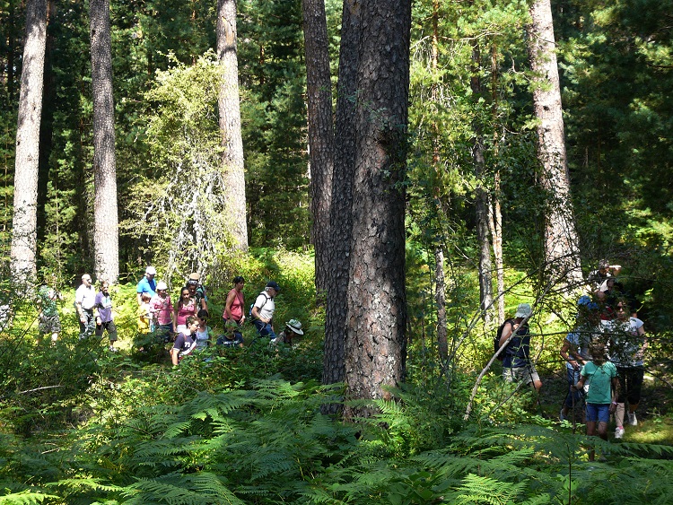 El Programa de Paseos de verano brinda dos opciones para esta semana: “De bolo a bolo” y “La Fuente del Infante”