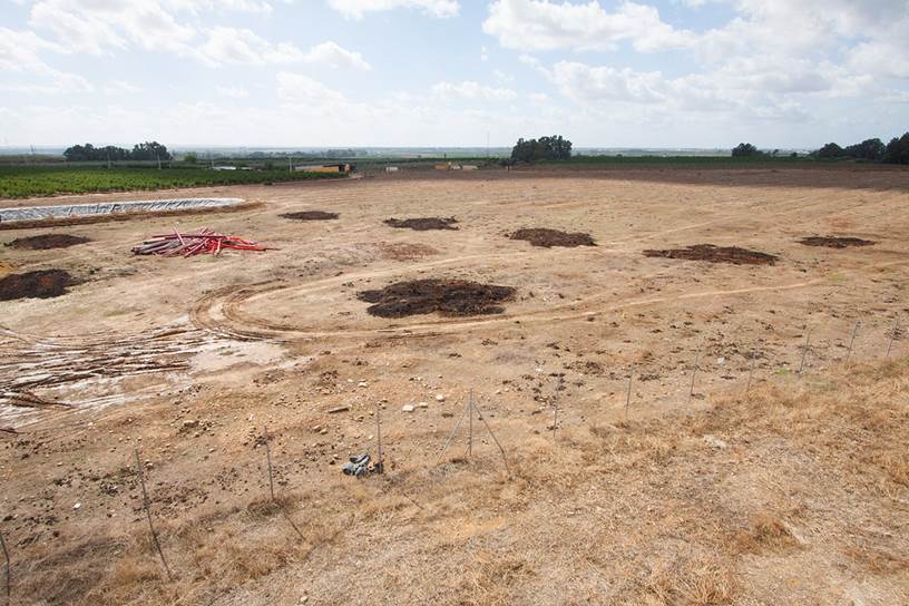 Sevilla. Alcolea implementará una planta fotovoltaica para 325 viviendas