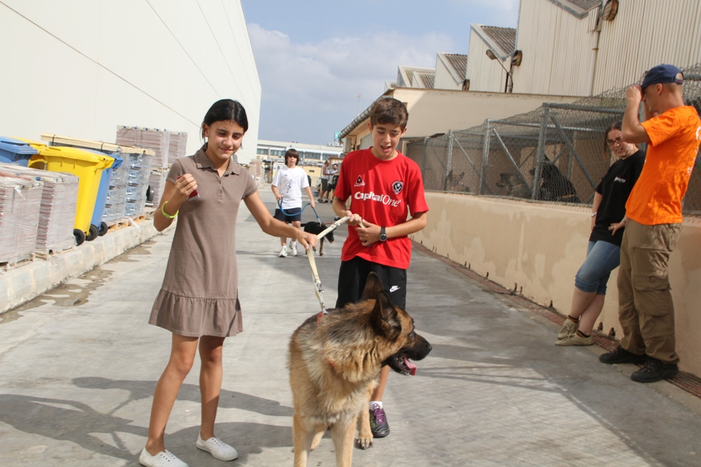 El albergue municipal de animales logra dar salida a 18 mascotas en el primer mes de nueva gestión