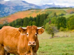 First Solar providing 48 MW of modules for French solar projects