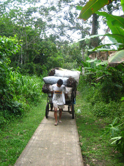 La Economía Indígena Autodeterminada en la Amazonía Peruana