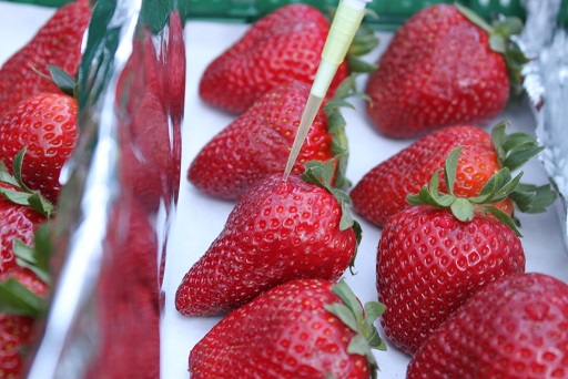 Llega a Europa un innovador sistema de higienización de frutas y hortalizas que no genera residuos químicos