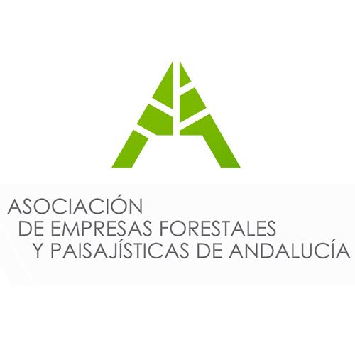 Empresas forestales ofrecen sus medios para apagar fuegos y piden a la Junta que siga invirtiendo en prevención
