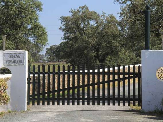 Andalucía favorece ‘descaradamente’ a la familia Benjumea y Ortega Cano