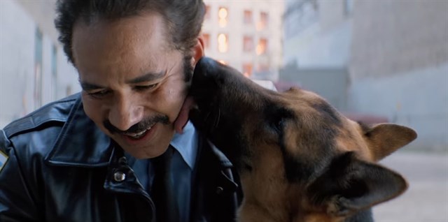 Maltrato animal en el rodaje A Dogs Purpose (Mira el VIDEO)