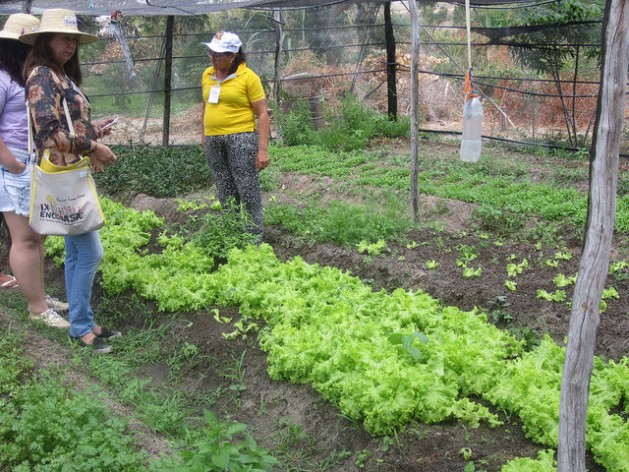 Feminismo ayuda a resistir la sequía en el Nordeste de Brasil