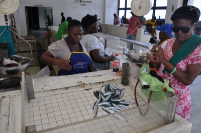 Granada bajo estrés climático