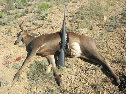 TODOS contra la caza en Parques Nacionales