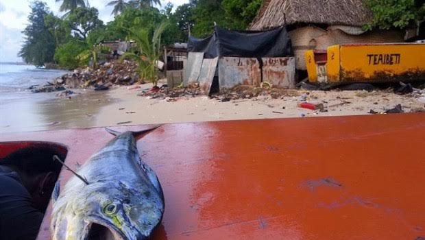 Las islas del Pacífico perderán hasta un 80% de especies marinas por el cambio climático