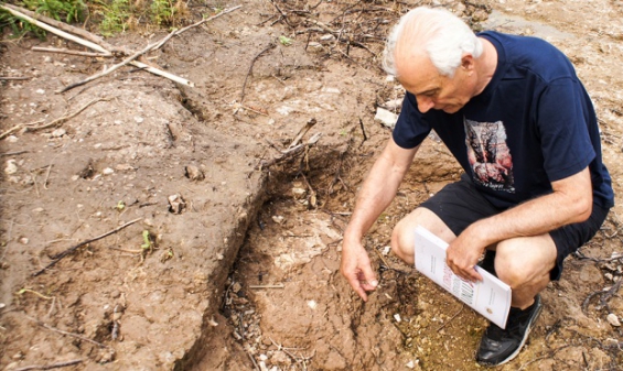 Argentina. Hayan restos de un gliptodonte en Jáuregui