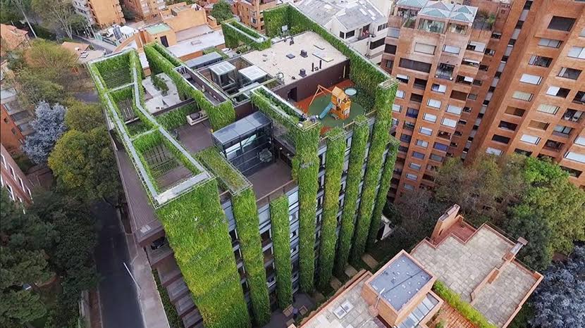 Un estudio de la Hispalense aboga por cubrir de vegetación techos de edificios como forma de paliar el cambio climático