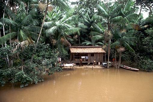 Asesinan en Brasil a un activista de la selva amazónica y su esposa