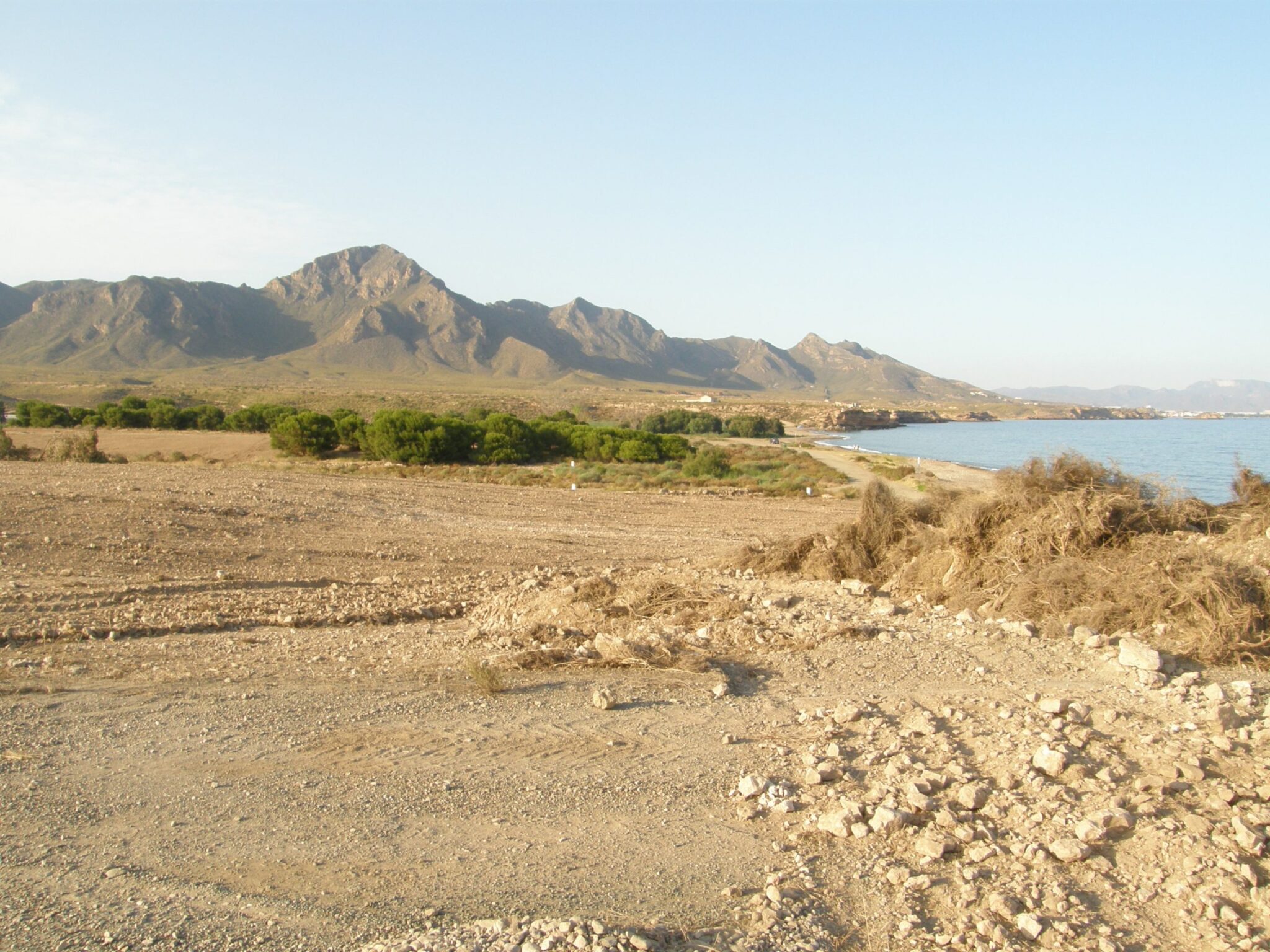 “ANSE pide explicaciones a la Comunidad Autónoma por autorizar la roturación de 50 hectáreas en la costa”