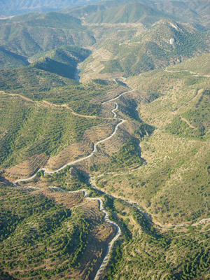 Andalucía ‘pionera’ en medio ambiente