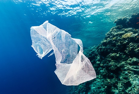 Combatir las basuras marinas