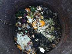 Residuos orgánicos domésticos