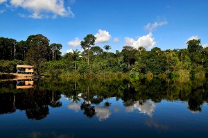 Líderes de opinión: Proyectos de infraestructura en el Amazonas y Río+20 encabezarán las noticias forestales en América Latina durante 2012