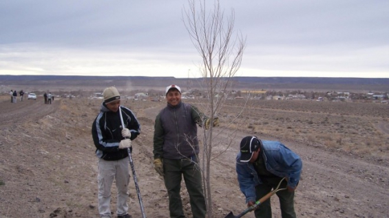 Argentina: Río Negro lucha contra la desertificación