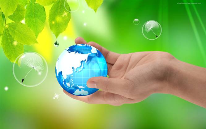 El PP ve un mundo de ‘ilusión y color’ en el nuevo marco legal para las energías renovables…