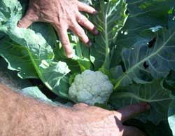 De sorpresa en sorpresa