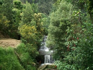 Se inauguró el Corredor Ecoambiental del río San Francisco