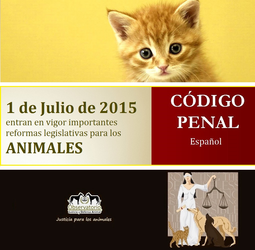 Notables mejoras en materia de maltrato animal del nuevo Código Penal