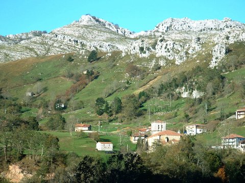 Reforestación de la zona afectada por incendio en San Roque de Riomiera (Cantabria)
