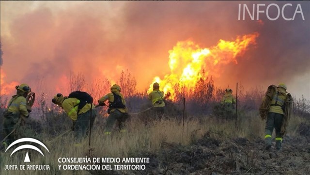 Ecologistas alertan de que los últimos incendios en Huelva y Sevilla afectan a espacios "de alto valor ecológico"