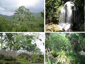 Nuevas áreas naturales protegidas en occidente cubano