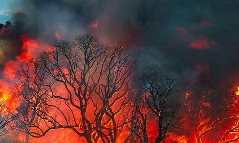 España envía aviones a Portugal para colaborar en la extinción de los incendios de la zona norte del país