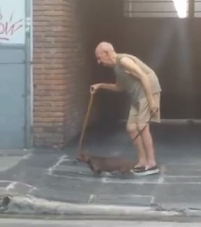 El perro con más ‘paciencia’ del mundo (Vea VIDEO)