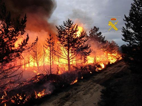 Detenida como autora de un incendio de 600 hectáreas en Valdefresno hace 15 días (León)