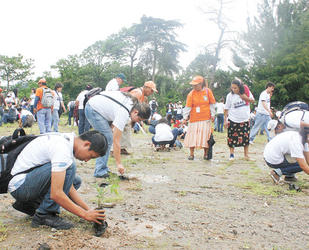 Inician campaña para plantar seis millones de árboles