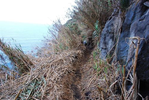 El Cabildo de Tenerife restaura el entorno del sendero de los 500 escalones en la costa de Acentejo