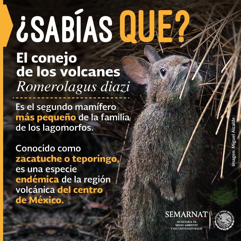 México. Ecoturismo y biodiversidad del Eje Neovolcánico