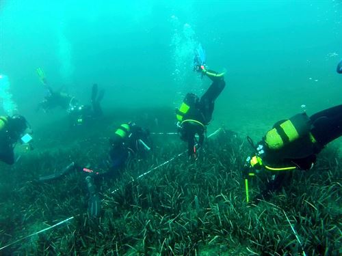 Proyecto Life+Posidonia