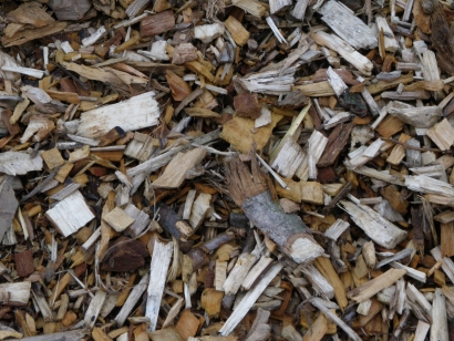 Castilla y León apuesta por la biomasa