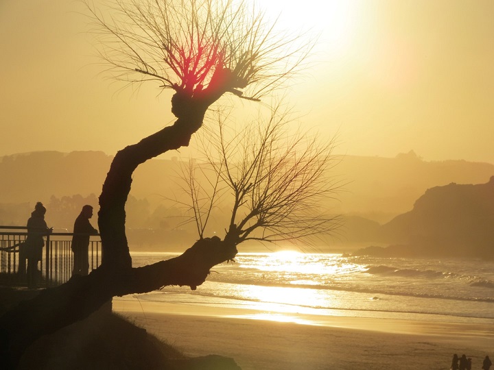 Las playas de Noja reconocidas un año más con la Bandera Ecoplayas